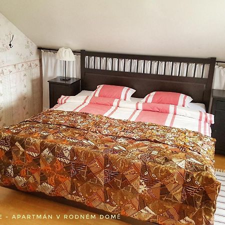 Apartma V Rodnem Dome Vincenze Priessnitze V Centru Lazni Jeseník Dış mekan fotoğraf